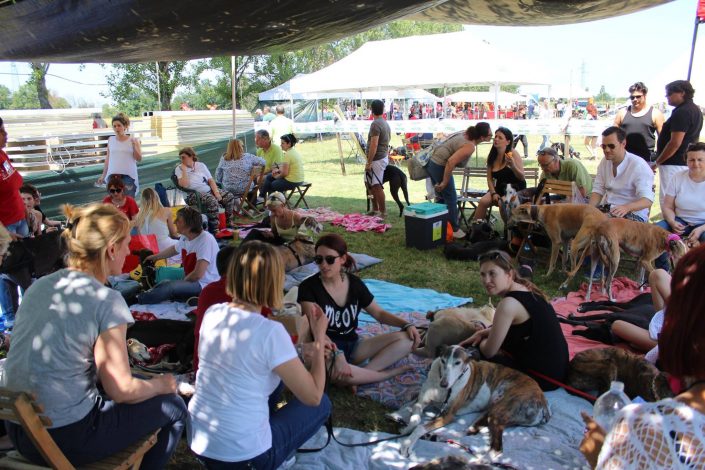 18879878_899480983523366_5224369990565330309_o