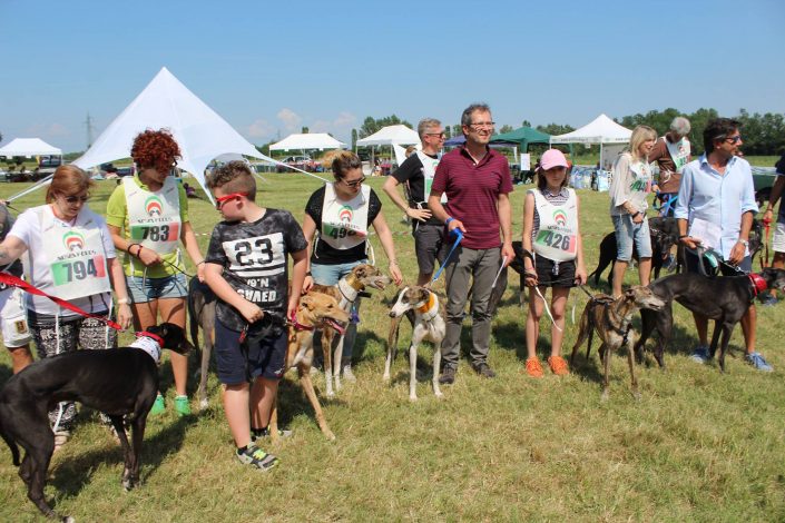 18879888_899483016856496_4632252573901494657_o