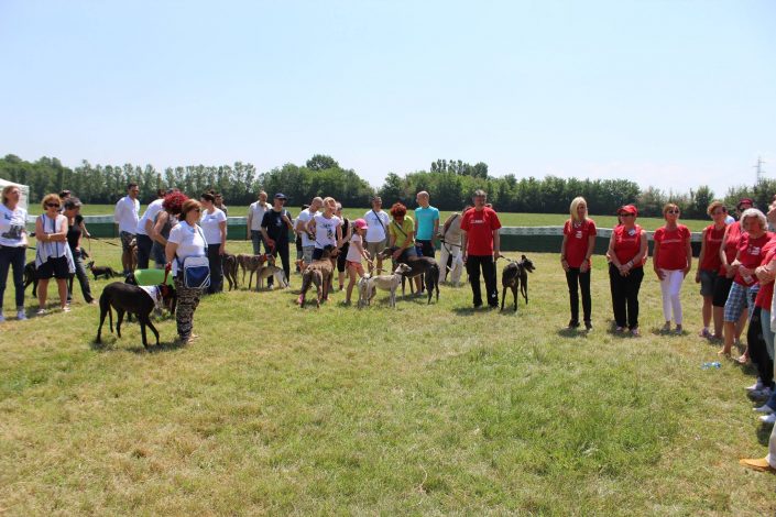 18879903_899483923523072_3398576604005555937_o