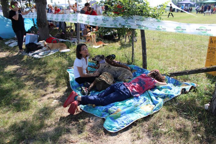 18879922_899486330189498_6631501297761704517_o