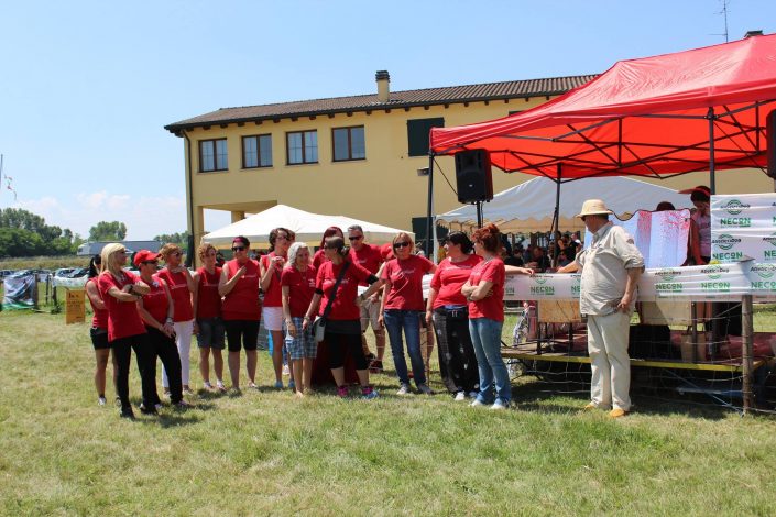 18880221_899482073523257_7335072413780229516_o