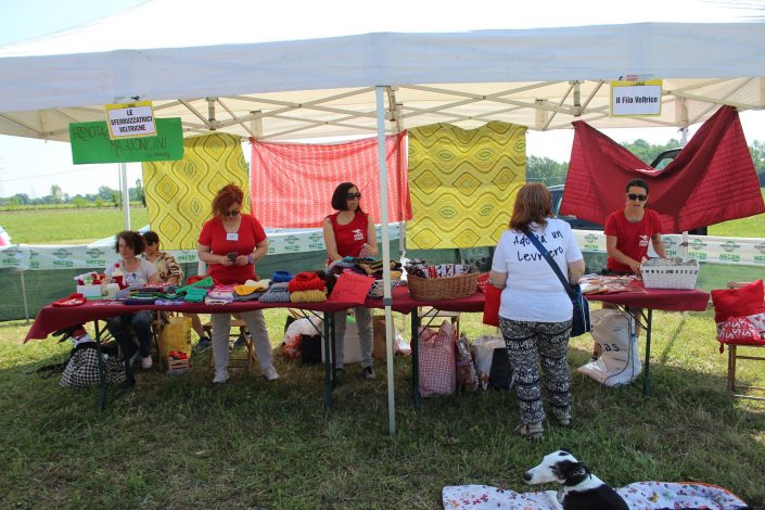 18880322_899481986856599_5849408159012525311_o