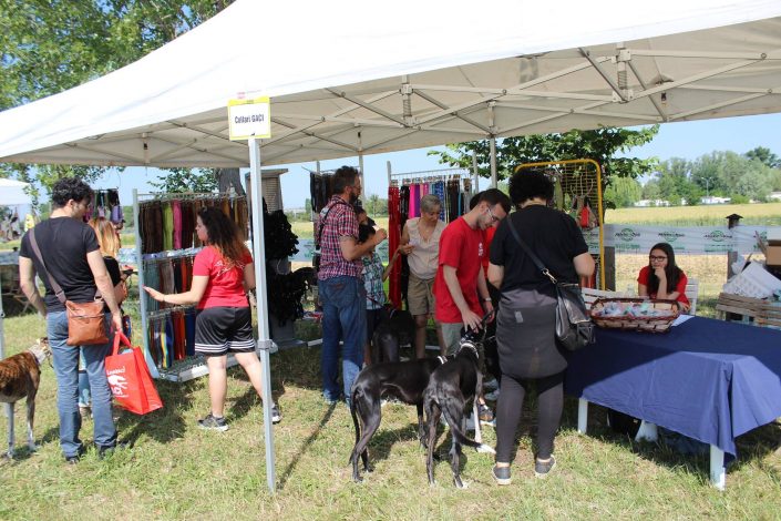 18891463_899481933523271_2832876893750049859_o