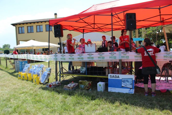 18891488_899482393523225_7546936066859841424_o