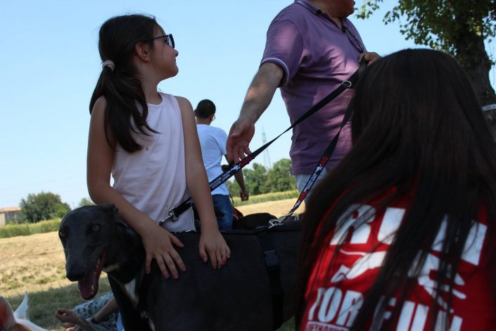 18891539_899473630190768_1772339622048534375_o