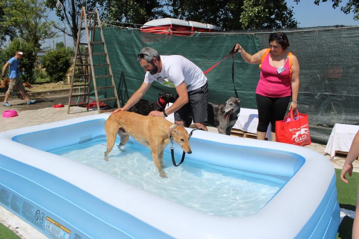 18891544_899480660190065_804055048385860352_o