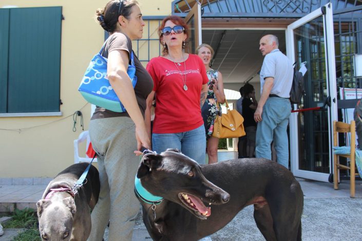 18891600_899478540190277_9023588899726599723_o