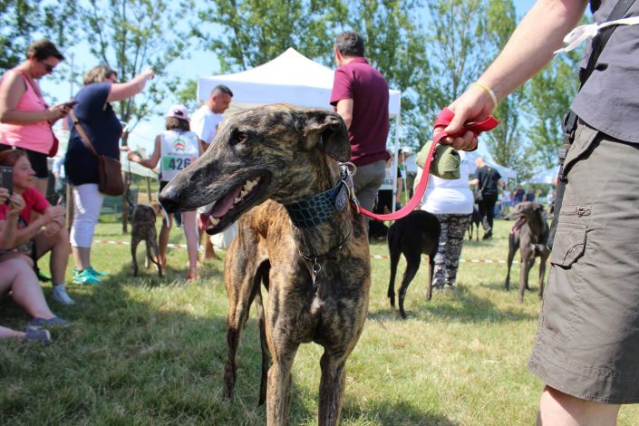 18891728_899481566856641_2437150954467069806_o