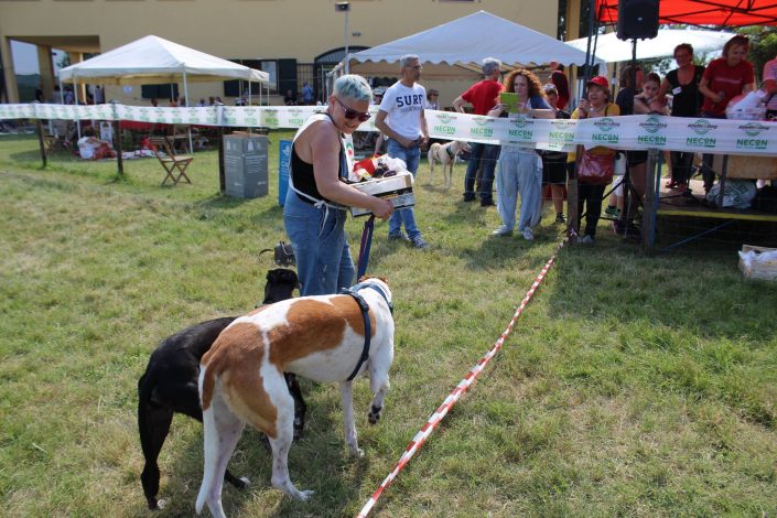 18891806_899484933522971_4078097424863901225_o