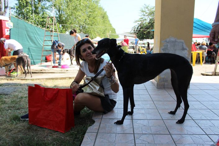 18920799_899478080190323_3552095952371971095_o