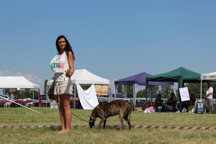 18921092_899476783523786_7740979065470156_o