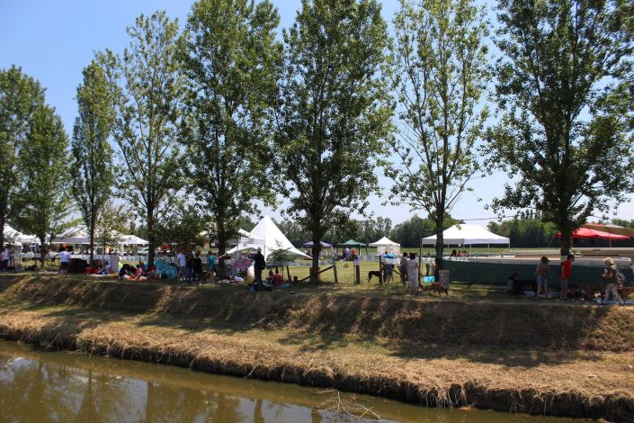 18921174_899486513522813_3511697459554003364_o