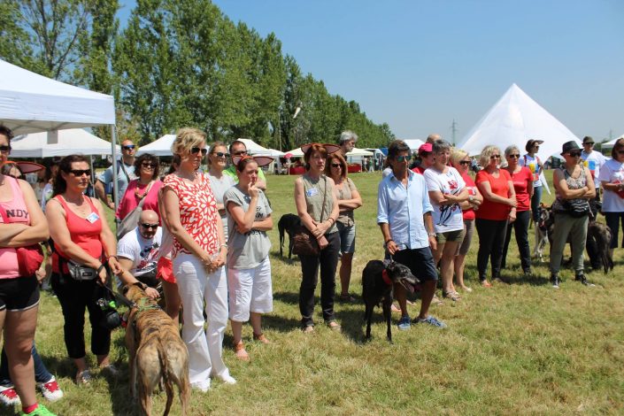 18922512_899482216856576_560434932284307224_o