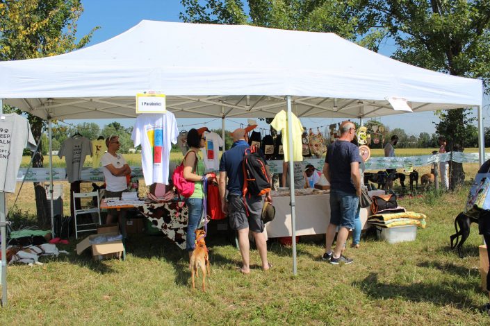 18922517_899483530189778_4194419290866011075_o