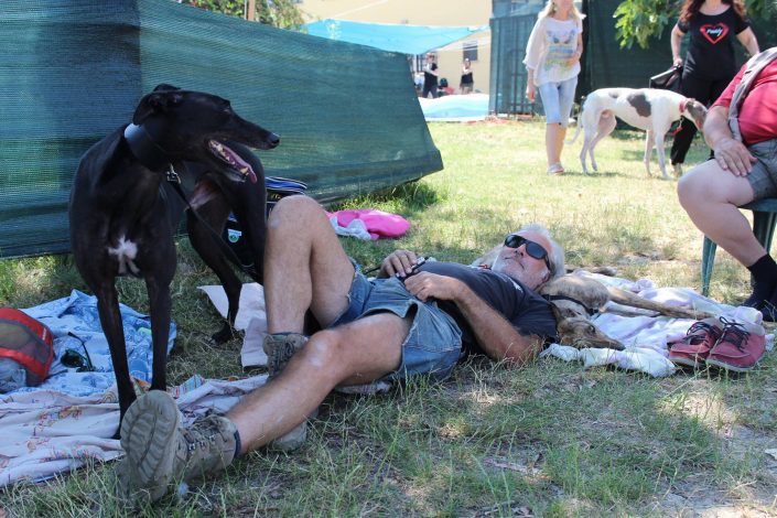 18953157_899484213523043_2759053917738523150_o