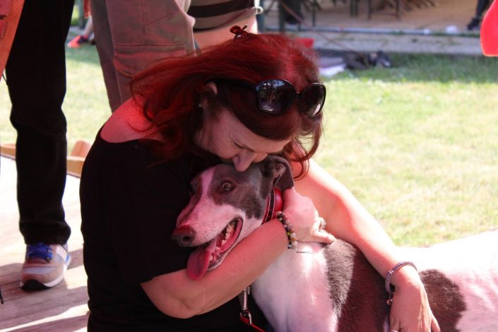 18953290_899477043523760_4618339126662601570_o