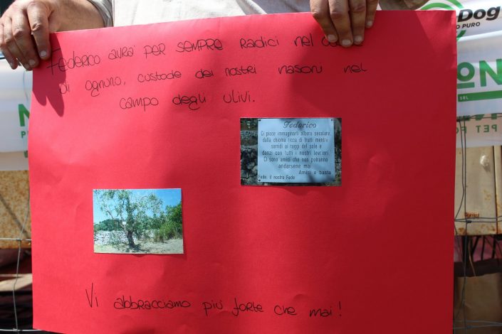 18953380_899478236856974_3571596447757167947_o