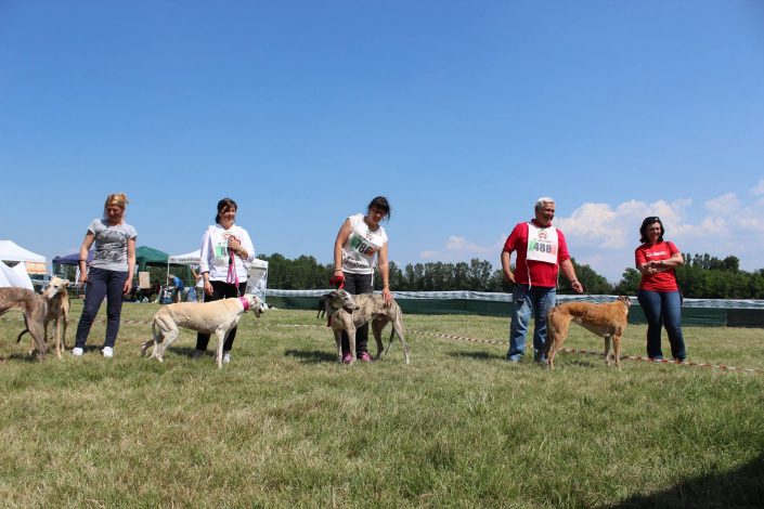 18953616_899482963523168_9112564535707984916_o