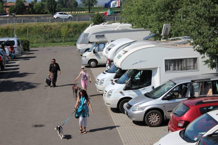 18954911_899481886856609_8223325075863298765_o