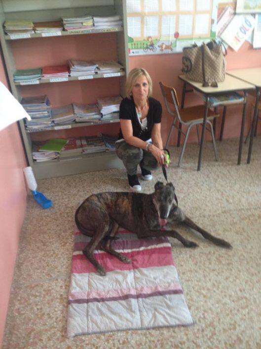 18739717_1192998100812261_6201610913553874801_n