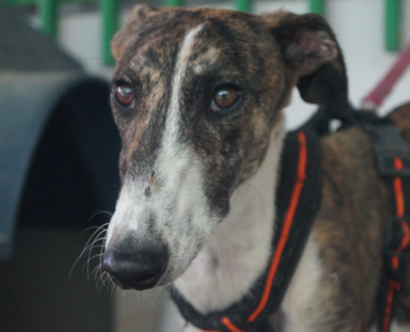 P170718_01 JUMP M0,5 (1)