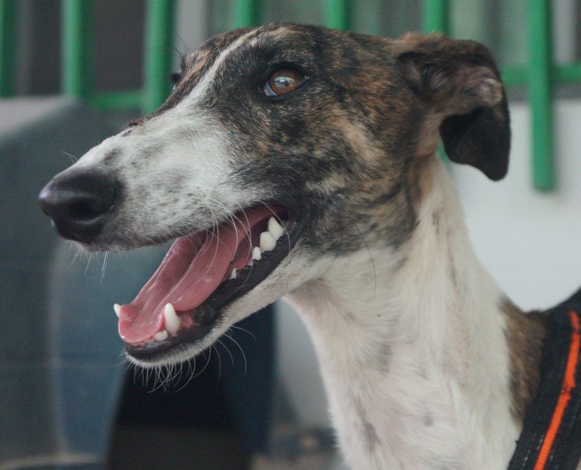 P170718_01 JUMP M0,5 (3)