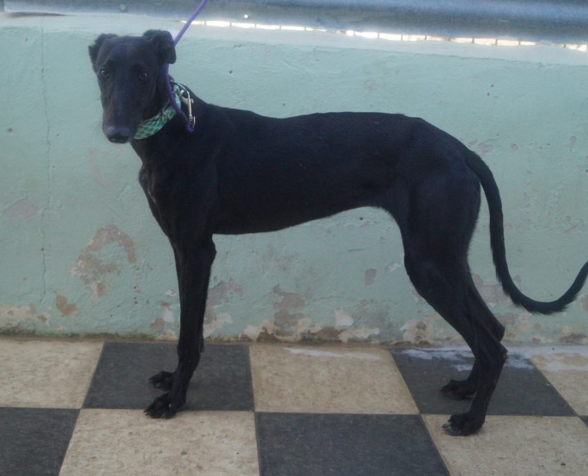 JAIMA NUEVAS FOTOS (1)