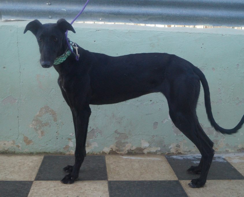 JAIMA NUEVAS FOTOS (2)