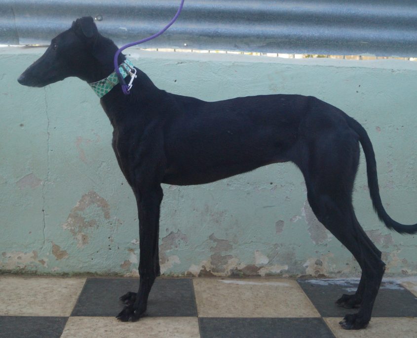 JAIMA NUEVAS FOTOS (3)