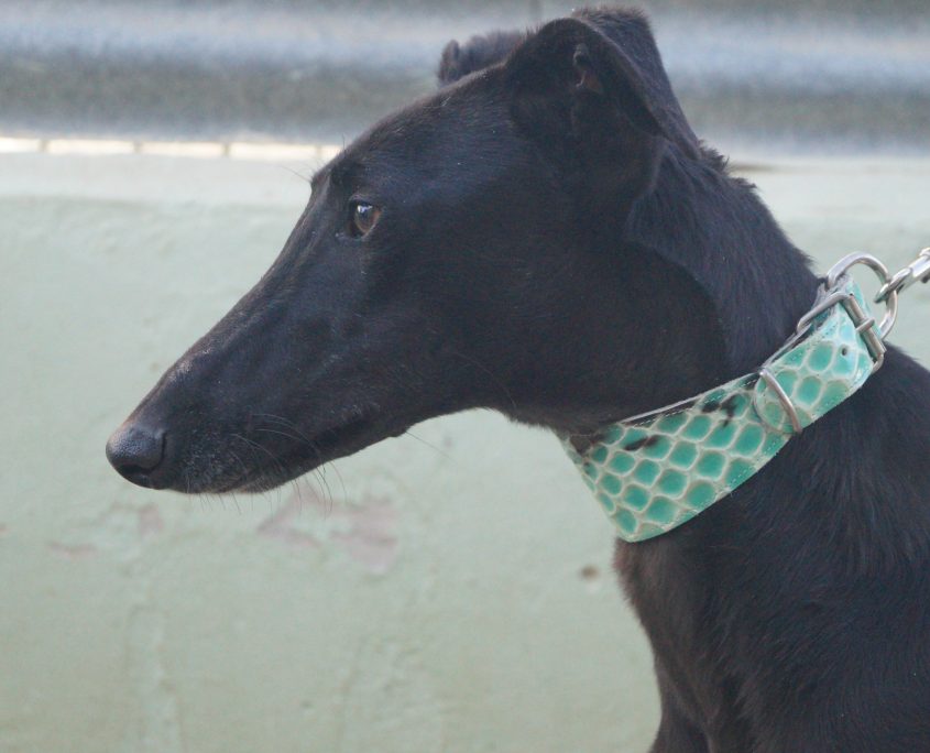 JAIMA NUEVAS FOTOS (4)