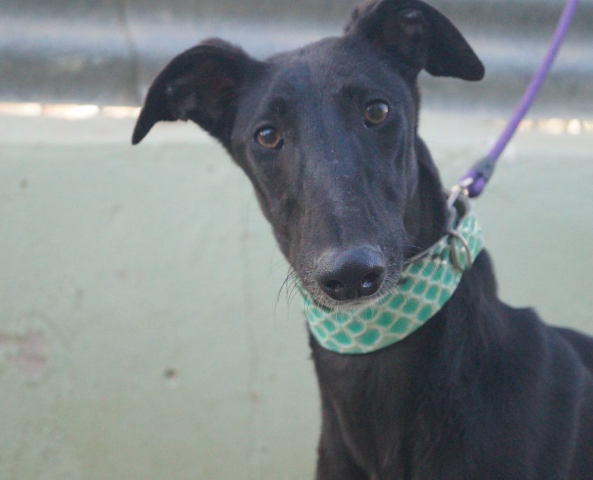 JAIMA NUEVAS FOTOS (6)