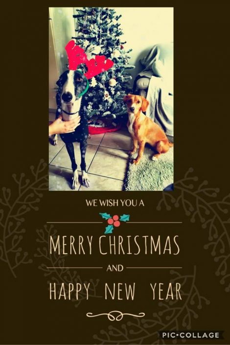 25552125_157965828299576_4630089181243633363_n