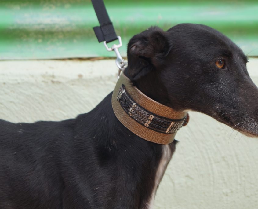 MAR NUEVAS FOTOS (1)