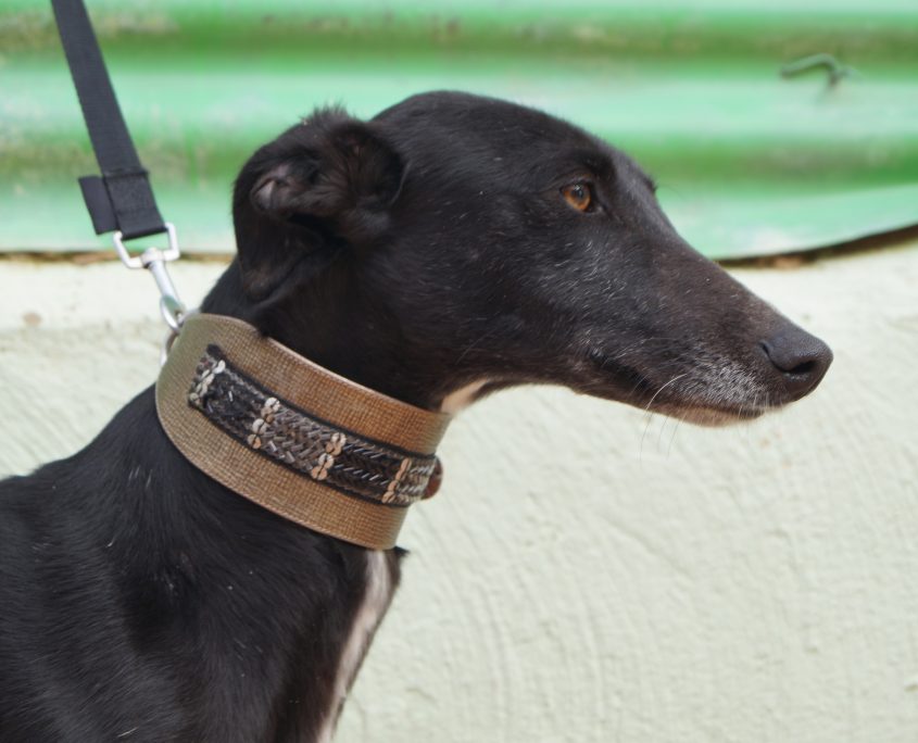 MAR NUEVAS FOTOS (2)