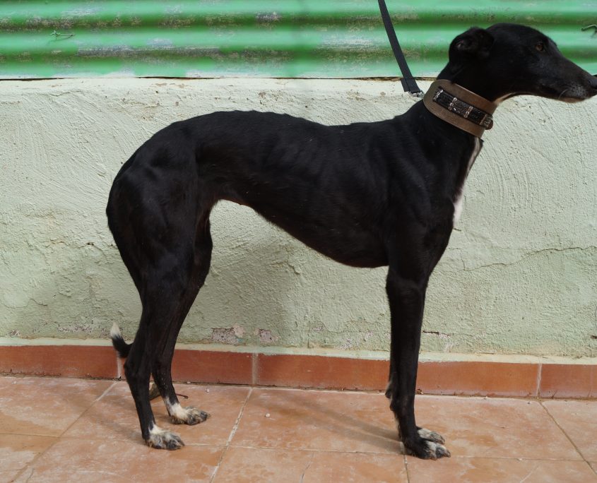 MAR NUEVAS FOTOS (3)