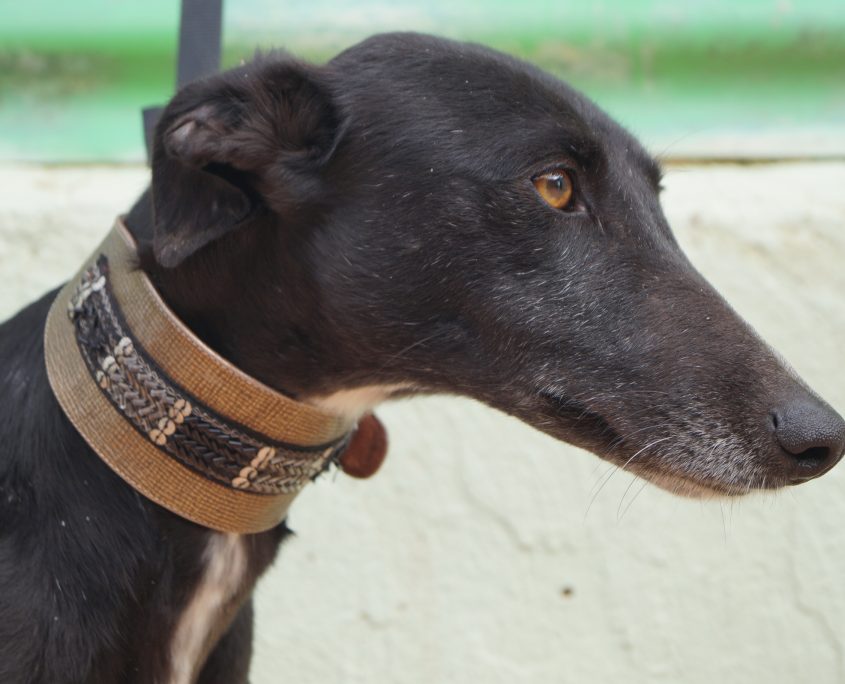 MAR NUEVAS FOTOS (4)