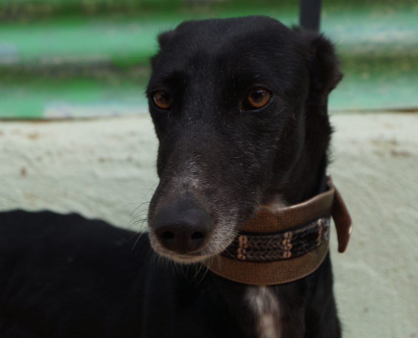 MAR NUEVAS FOTOS (5)