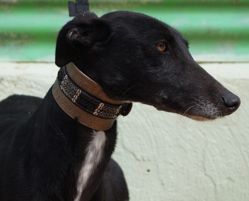 MAR NUEVAS FOTOS (6)