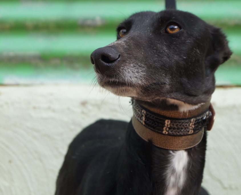 MAR NUEVAS FOTOS (7)