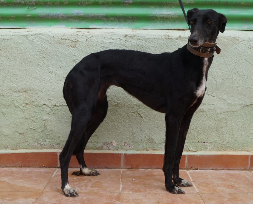 MAR NUEVAS FOTOS (8)