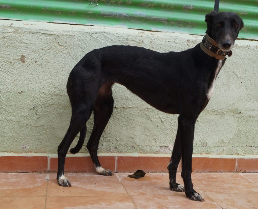 MAR NUEVAS FOTOS (9)