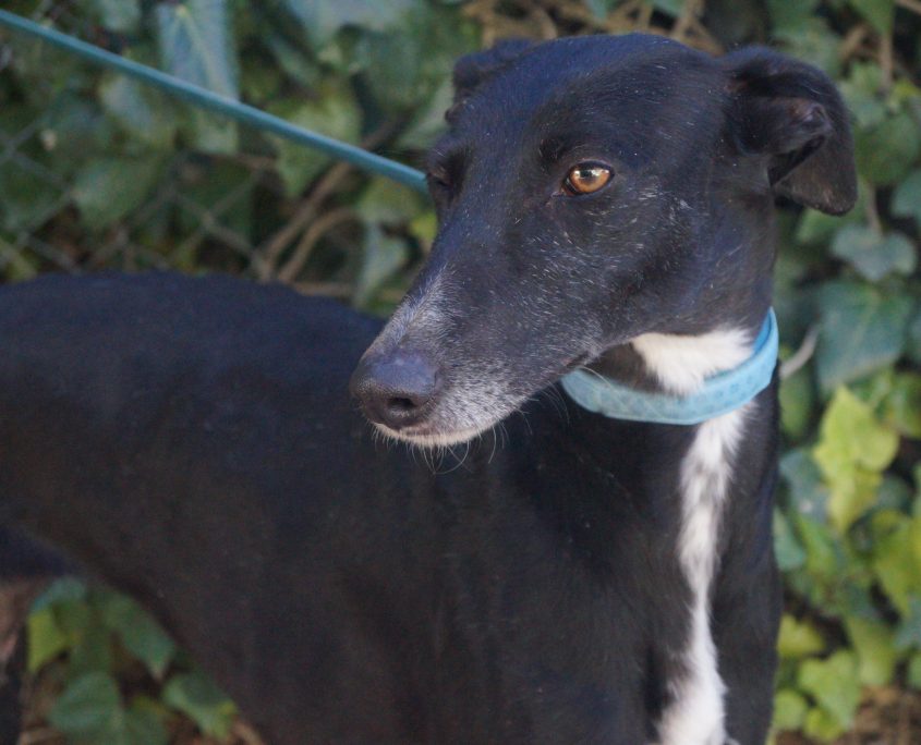 P180108_01 MAR H2 (1)