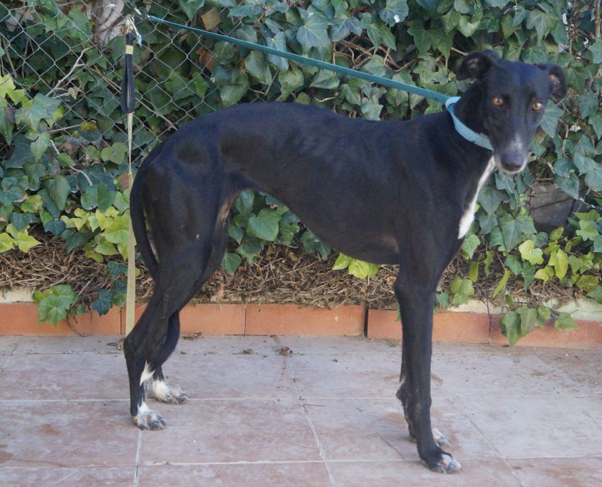 P180108_01 MAR H2 (2)