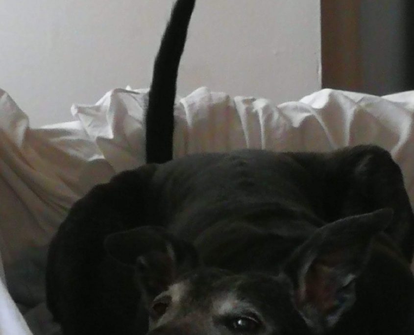 FB_IMG_1520430352122