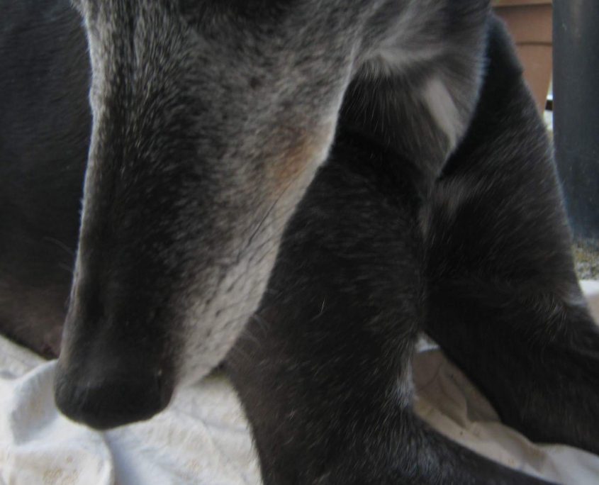 FB_IMG_1520430575913