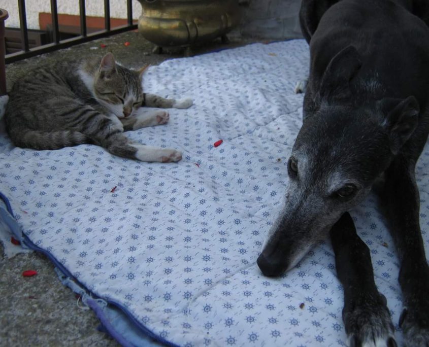 FB_IMG_1520613067887