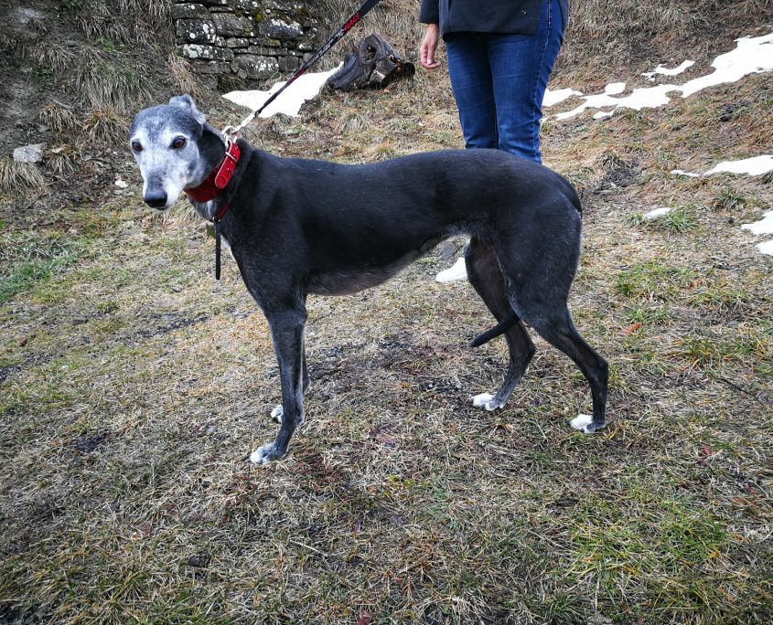 IMG_20180310_111142_resized_20180310_041347130