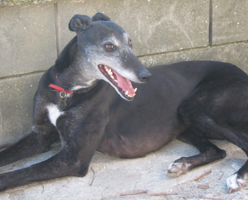 Iphone 091_resized_20180310_041348038