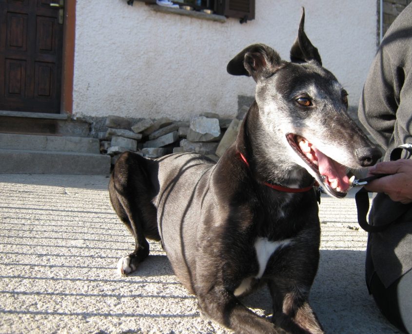 Iphone 093_resized_20180310_041348851