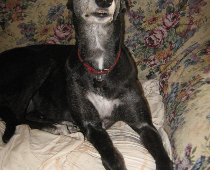 Iphone 458_resized_20180310_041348308